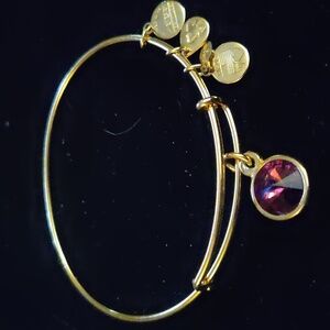 Alex and Ani Women's Gold Tone Bracelet - Amethyst